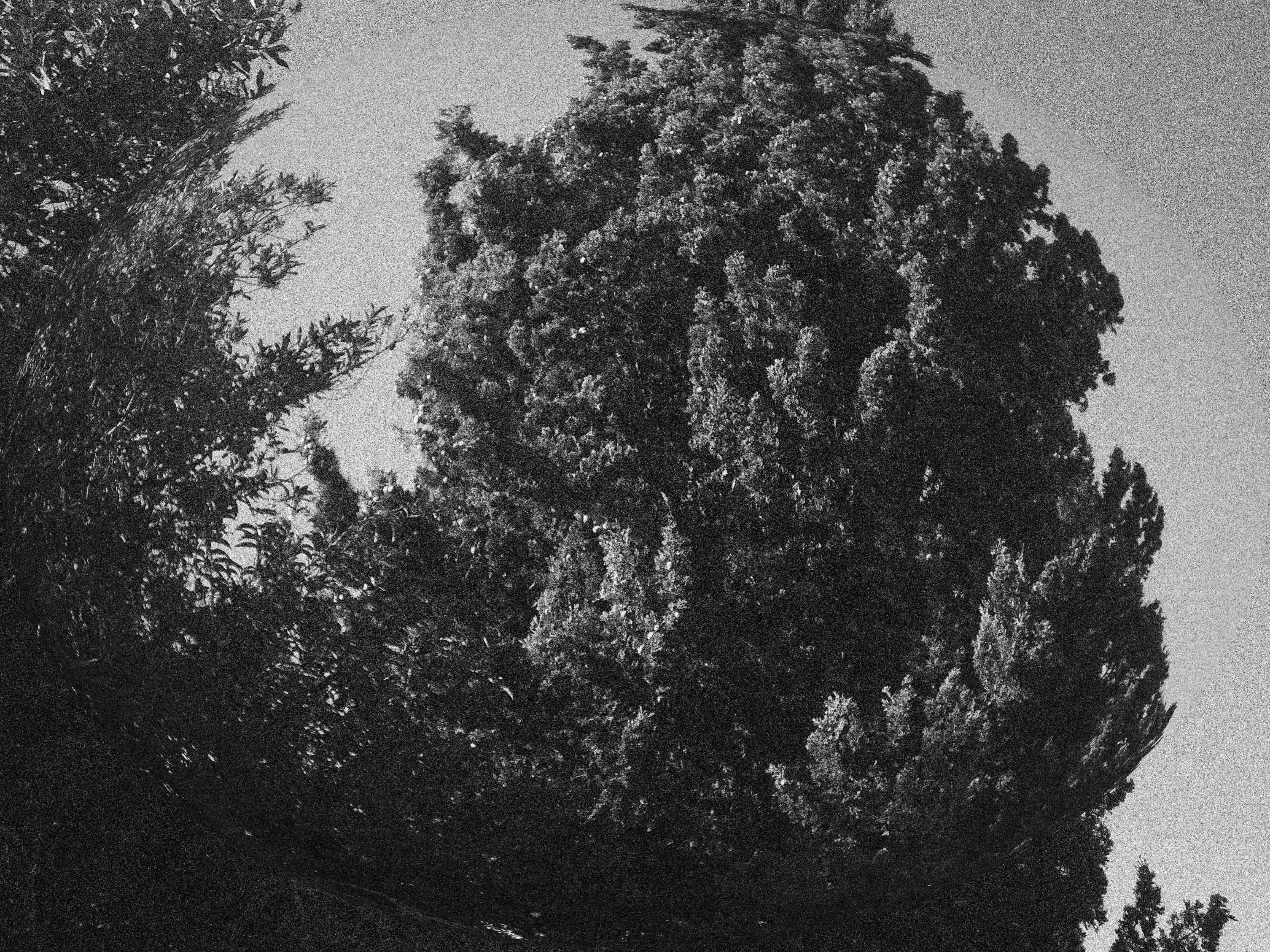 Descripción de la imagen